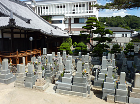 墓地