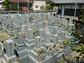 墓地